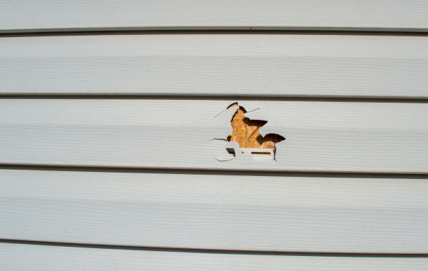 Siding Hole Repair in Nashua